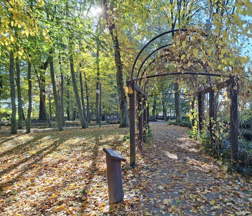 Ogród Zmysłów w Poddębicach jesienią – zdjęcie 10